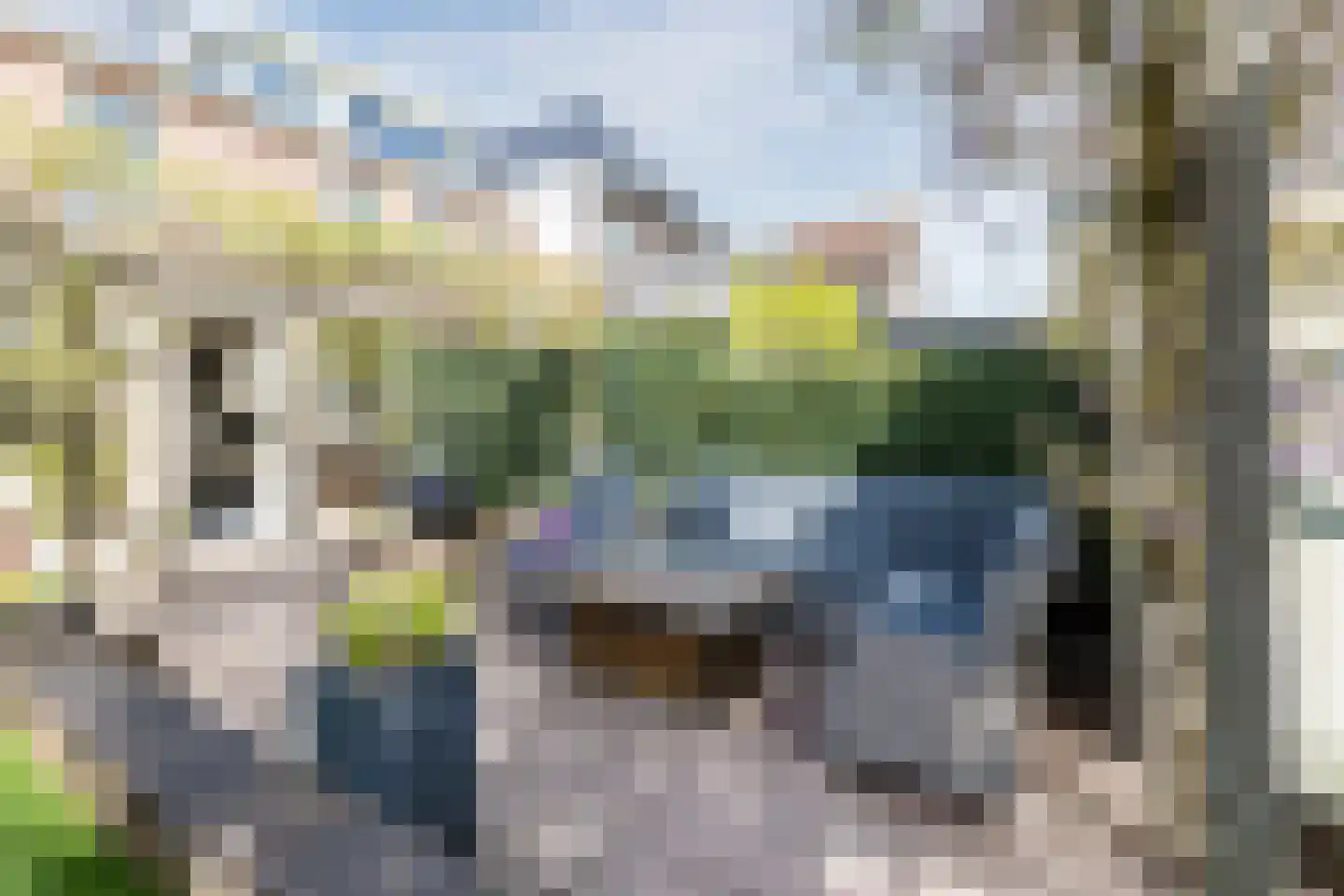 Julianastraat 48 Bodegraven thumbnail 44