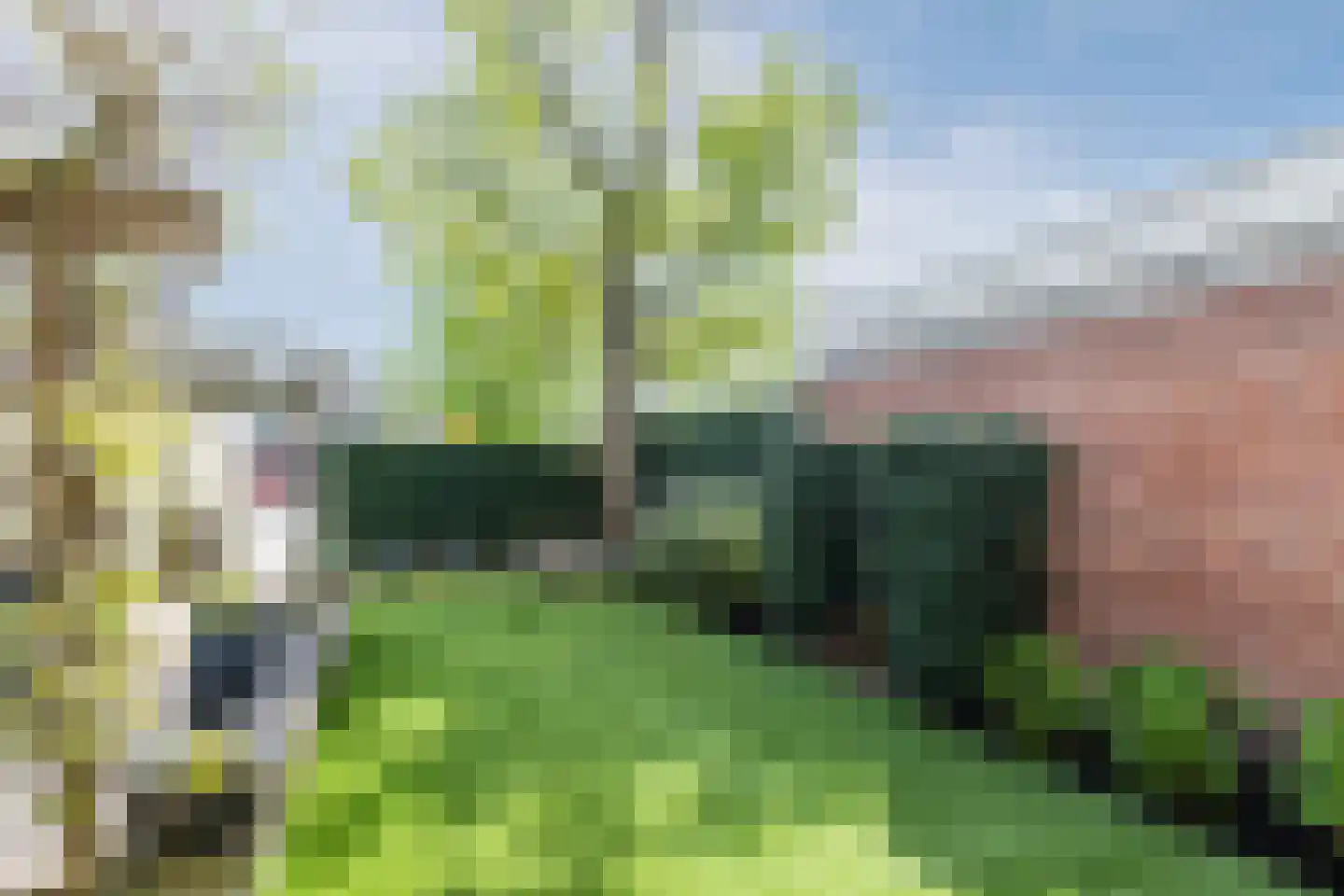 Julianastraat 48 Bodegraven thumbnail 47