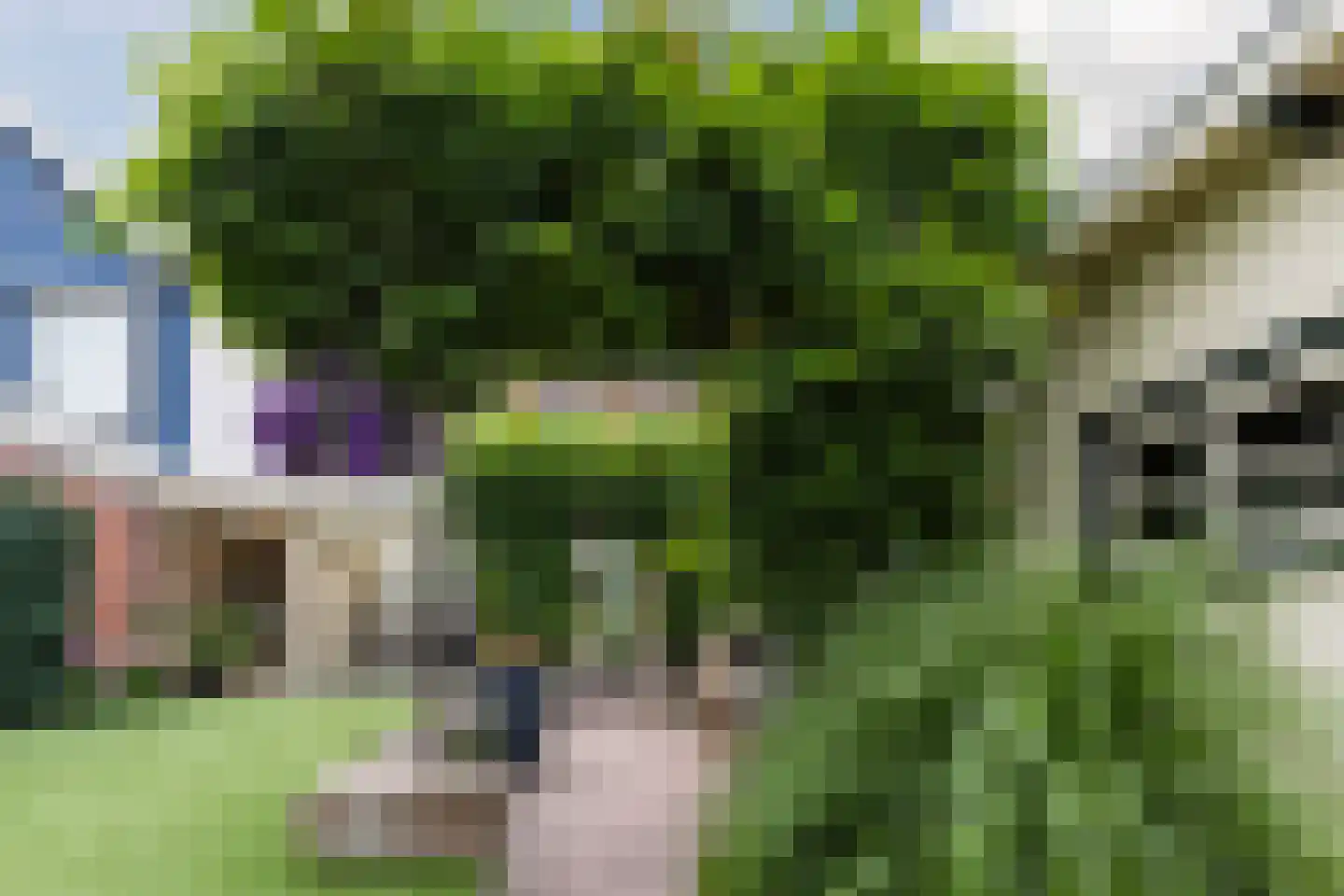 Julianastraat 48 Bodegraven thumbnail 49