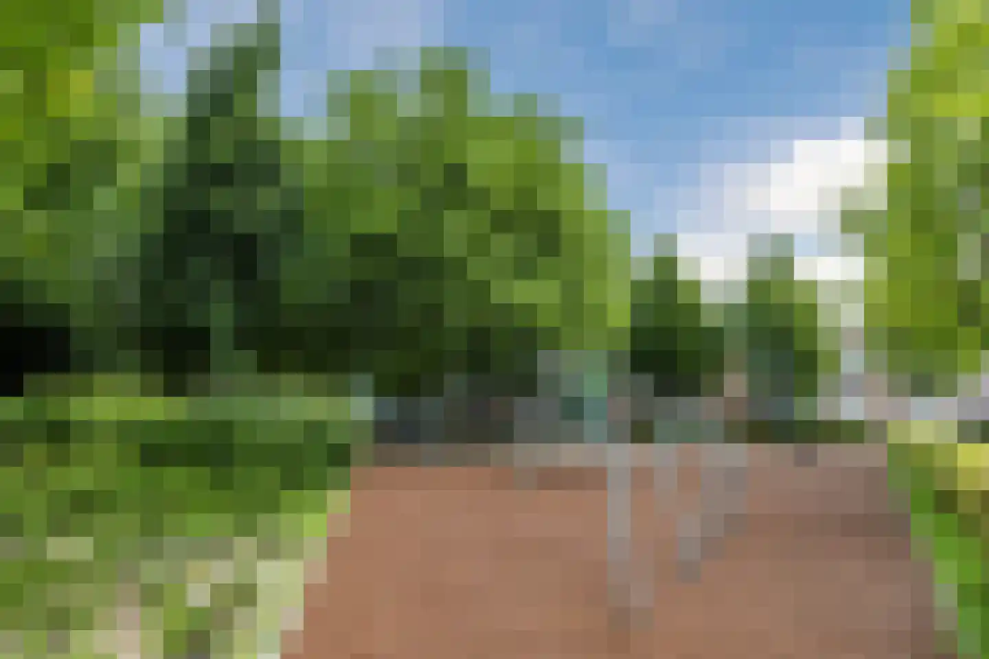 Julianastraat 48 Bodegraven thumbnail 57