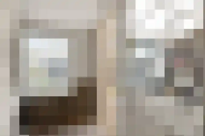 Julianastraat 49 't Zand thumbnail 12