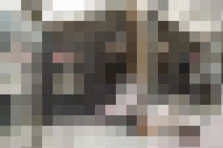 Julianastraat 49 't Zand thumbnail 13