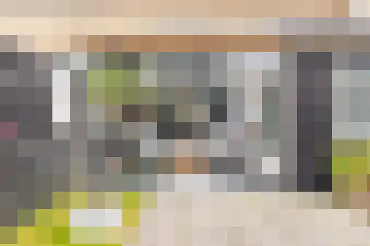 Julianastraat 49 't Zand thumbnail 14