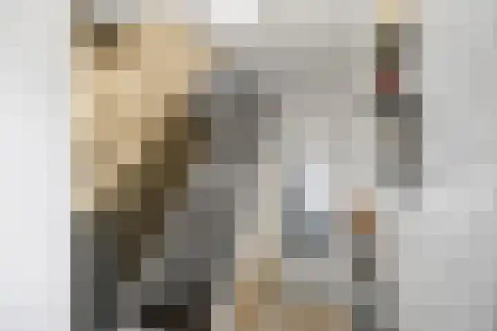 Julianastraat 49 't Zand thumbnail 18