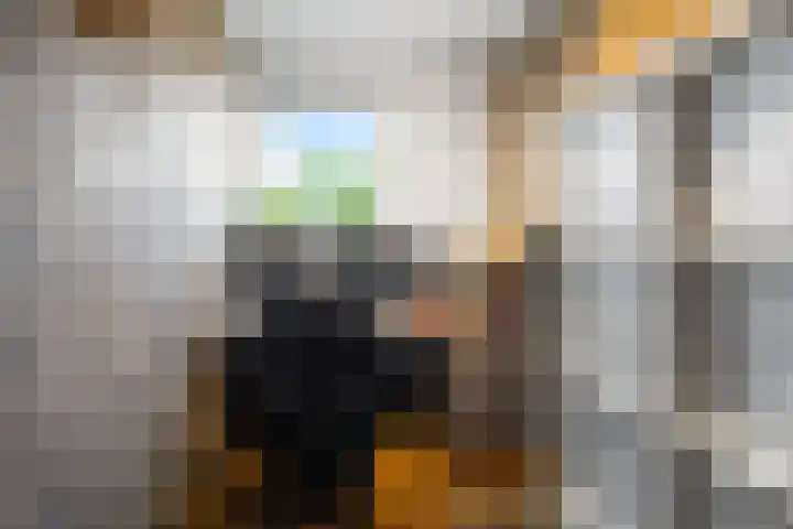 Julianastraat 49 't Zand thumbnail 23