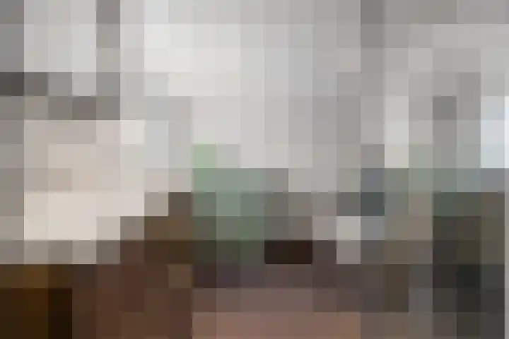 Julianastraat 49 't Zand thumbnail 24