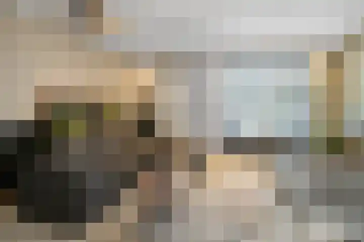 Julianastraat 49 't Zand thumbnail 5