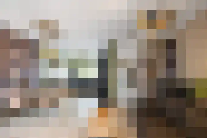 Julianastraat 49 't Zand thumbnail 7