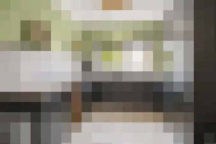 Julianastraat 49 't Zand thumbnail 8