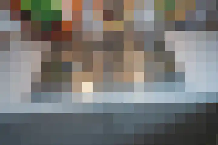 Julianastraat 5 a Berkel en Rodenrijs thumbnail 18