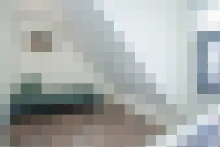 Julianastraat 5 a Berkel en Rodenrijs thumbnail 23