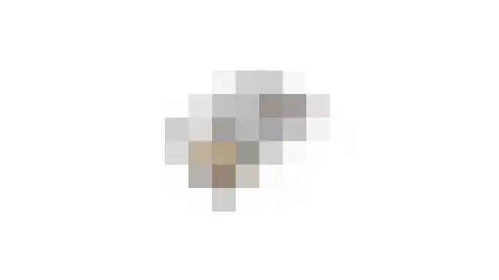 Julianastraat 5 a Berkel en Rodenrijs thumbnail 33