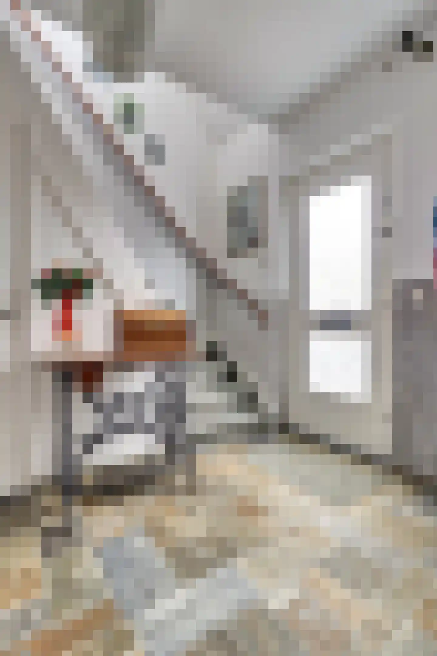 Julianastraat 5 a Scherpenisse thumbnail 10