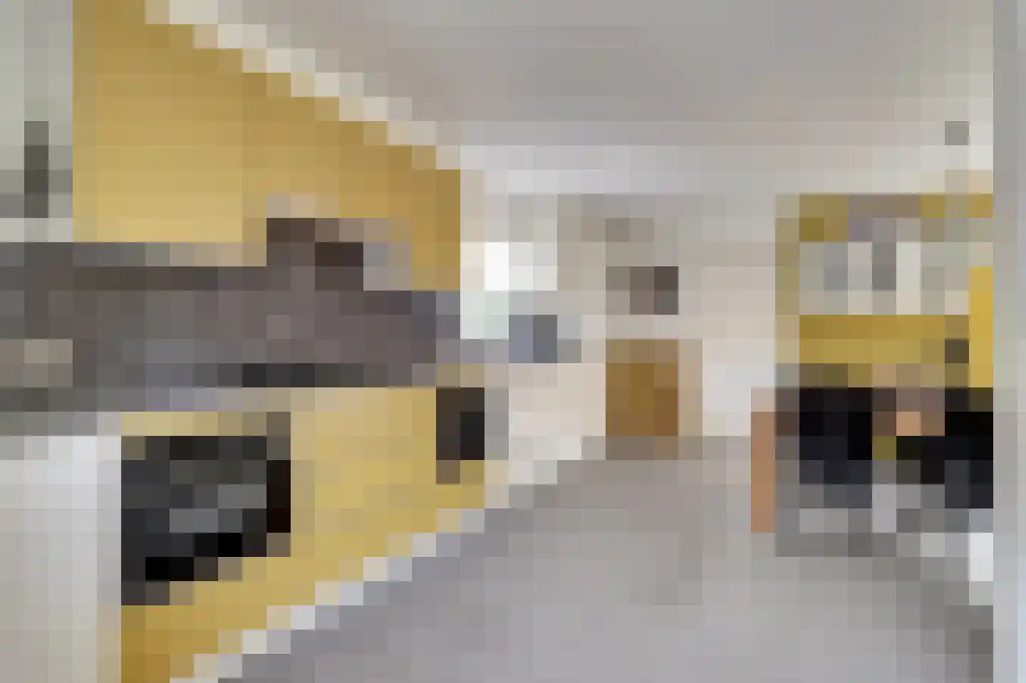 Julianastraat 5 a Scherpenisse thumbnail 21