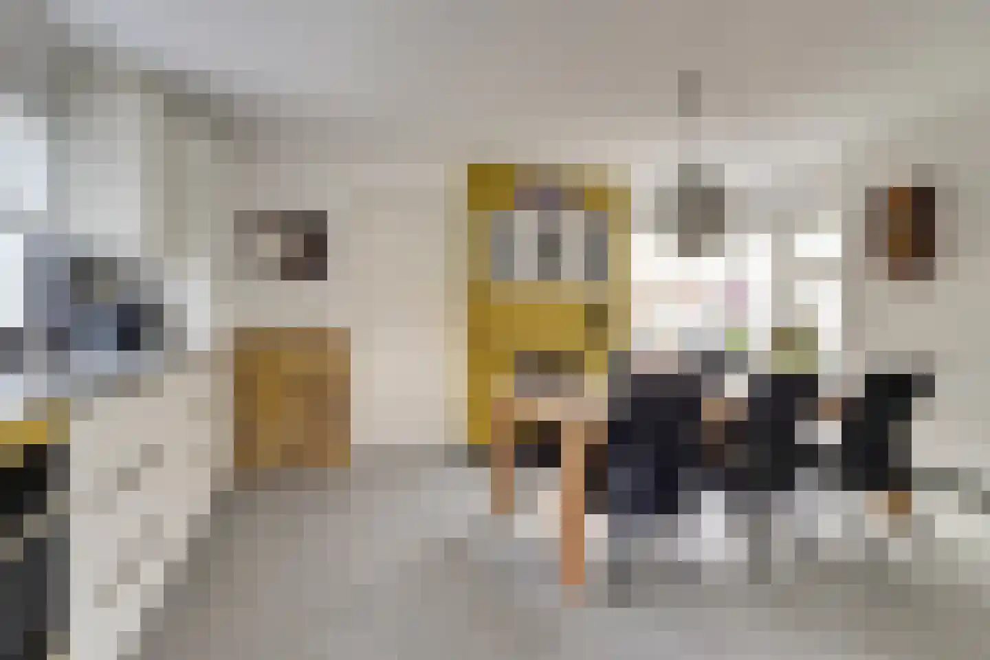 Julianastraat 5 a Scherpenisse thumbnail 25