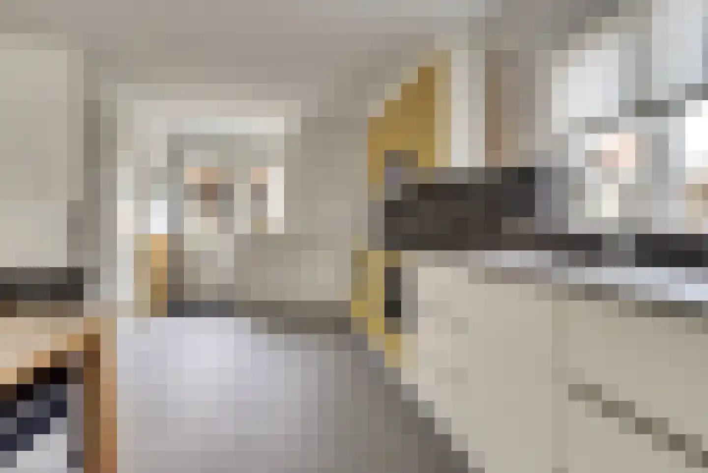 Julianastraat 5 a Scherpenisse thumbnail 26