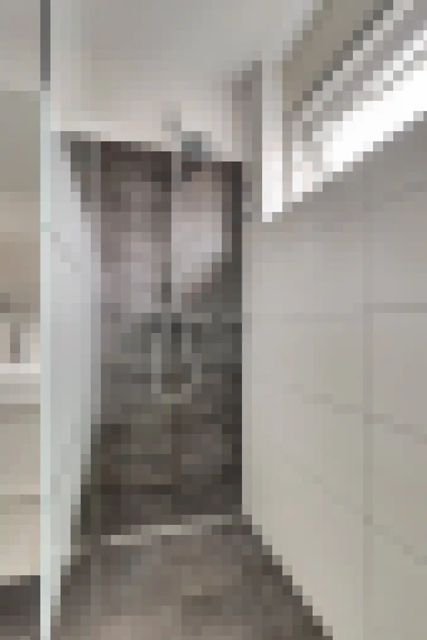 Julianastraat 5 a Scherpenisse thumbnail 32