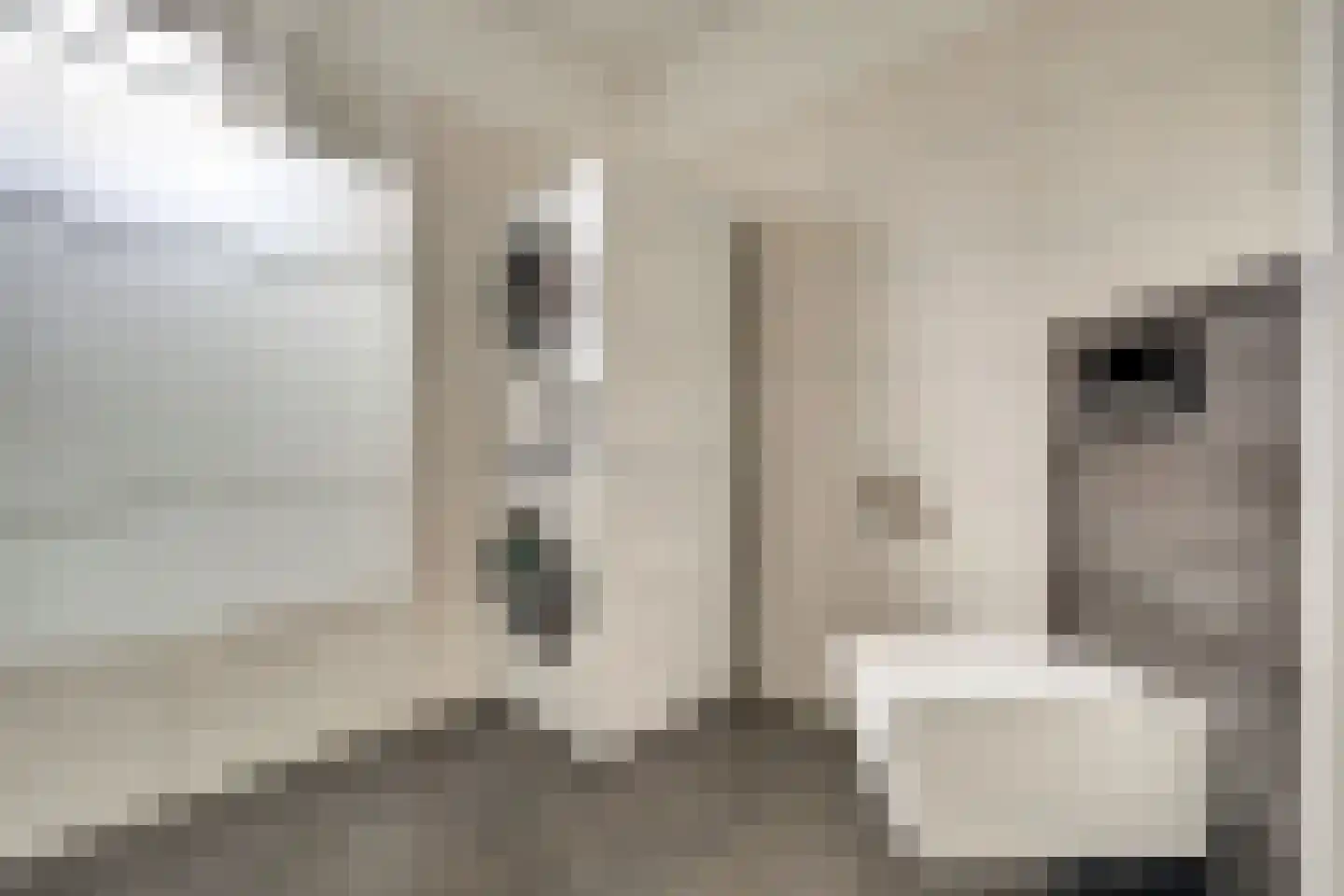 Julianastraat 5 a Scherpenisse thumbnail 34