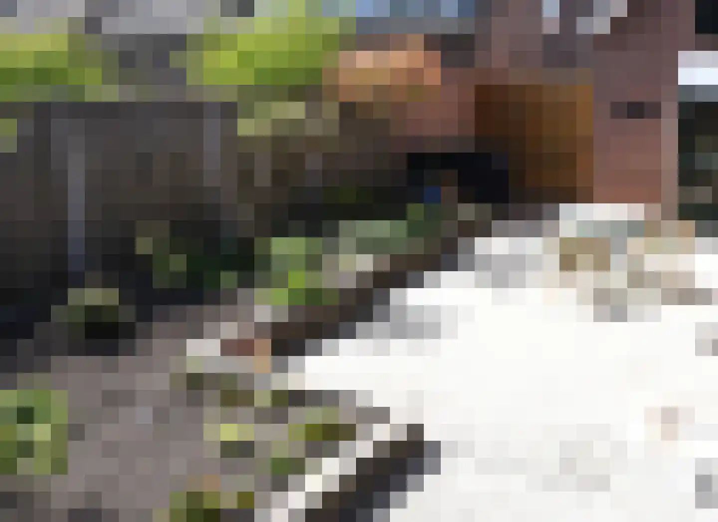 Julianastraat 5 a Scherpenisse thumbnail 46
