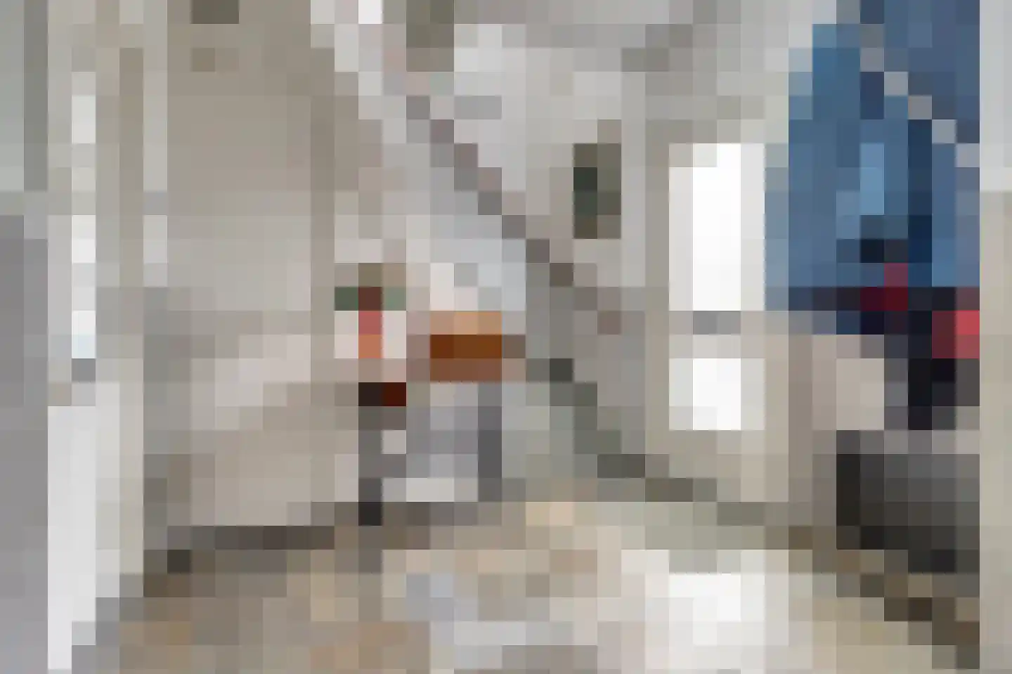 Julianastraat 5 a Scherpenisse thumbnail 8