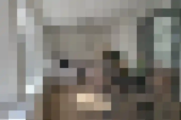 Julianastraat 5 A Schijndel thumbnail 12