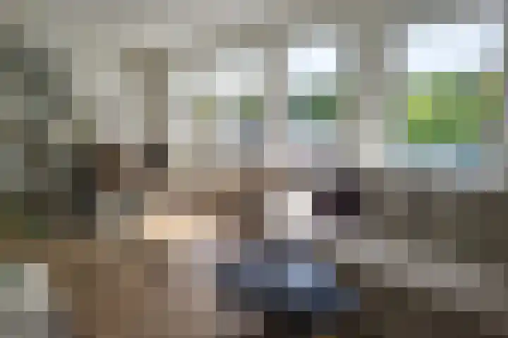 Julianastraat 5 A Schijndel thumbnail 13