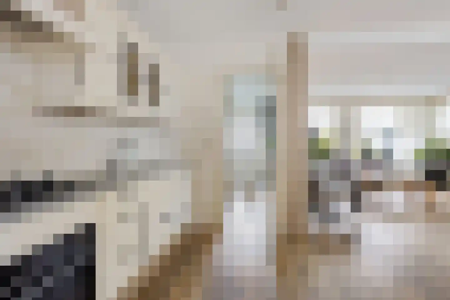 Julianastraat 5 Avenhorn thumbnail 12
