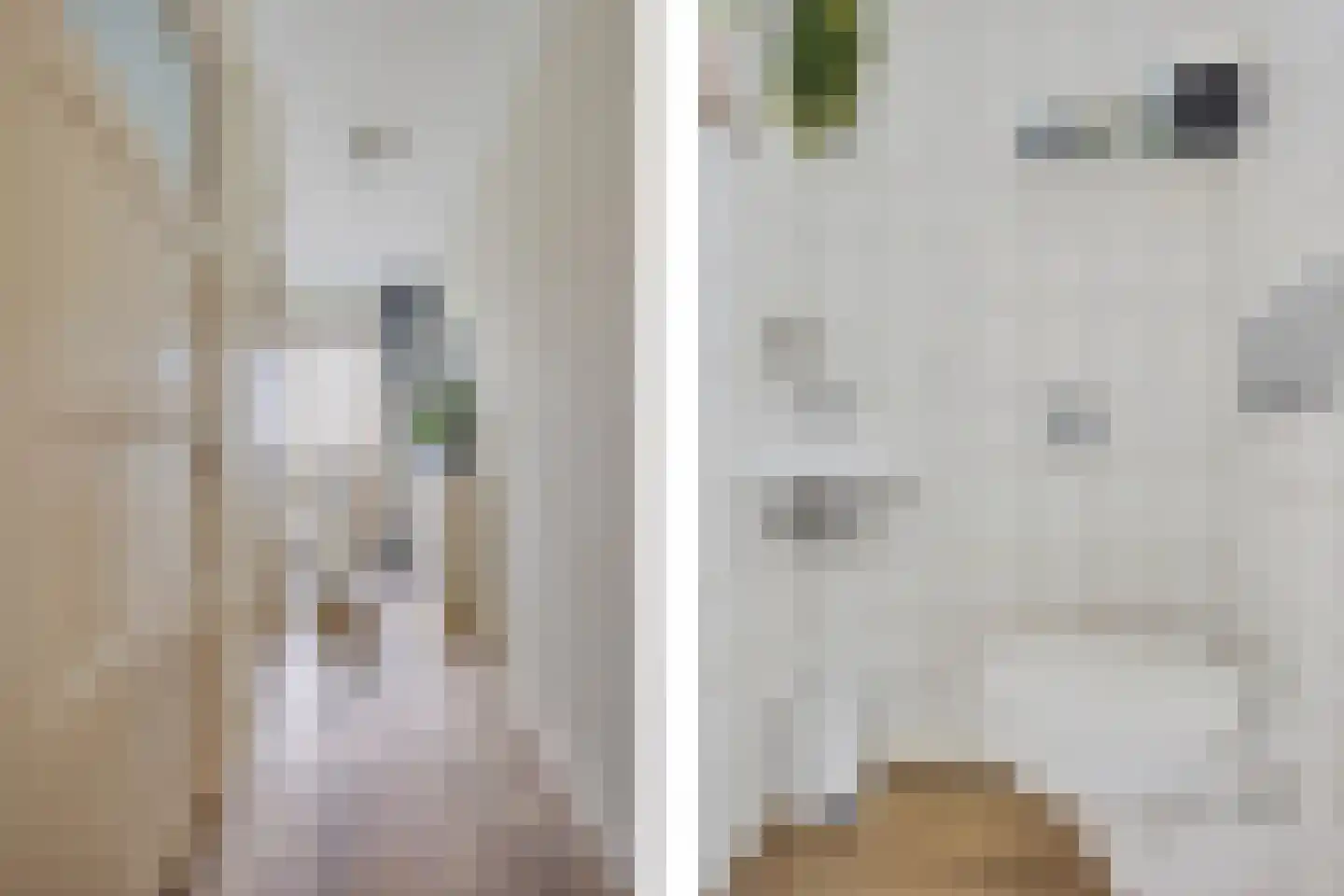 Julianastraat 5 Avenhorn thumbnail 13