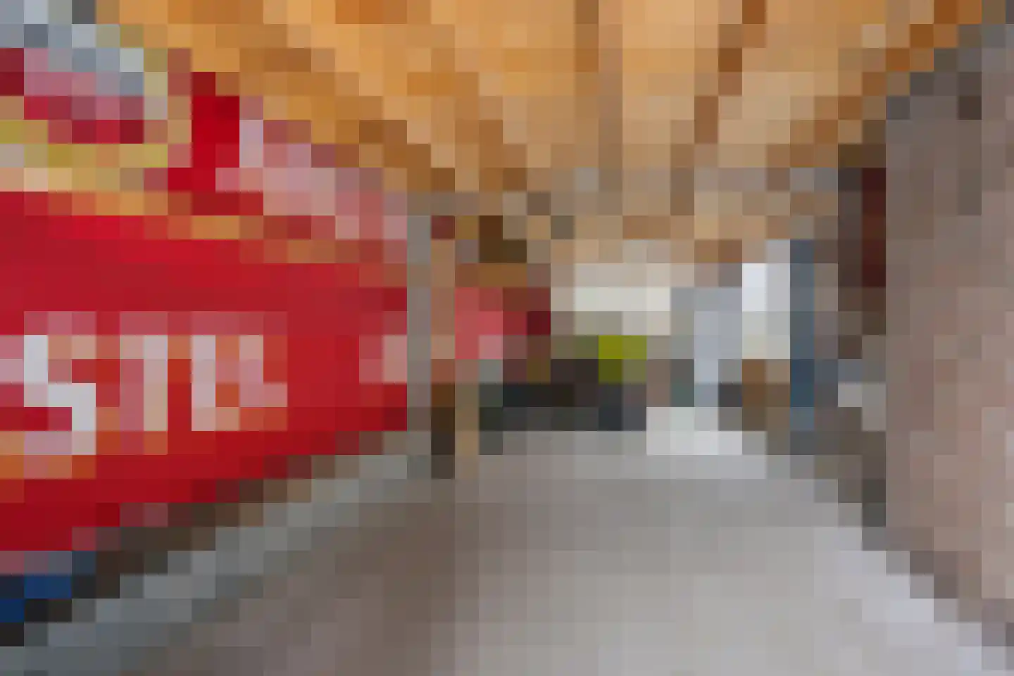 Julianastraat 5 Avenhorn thumbnail 28