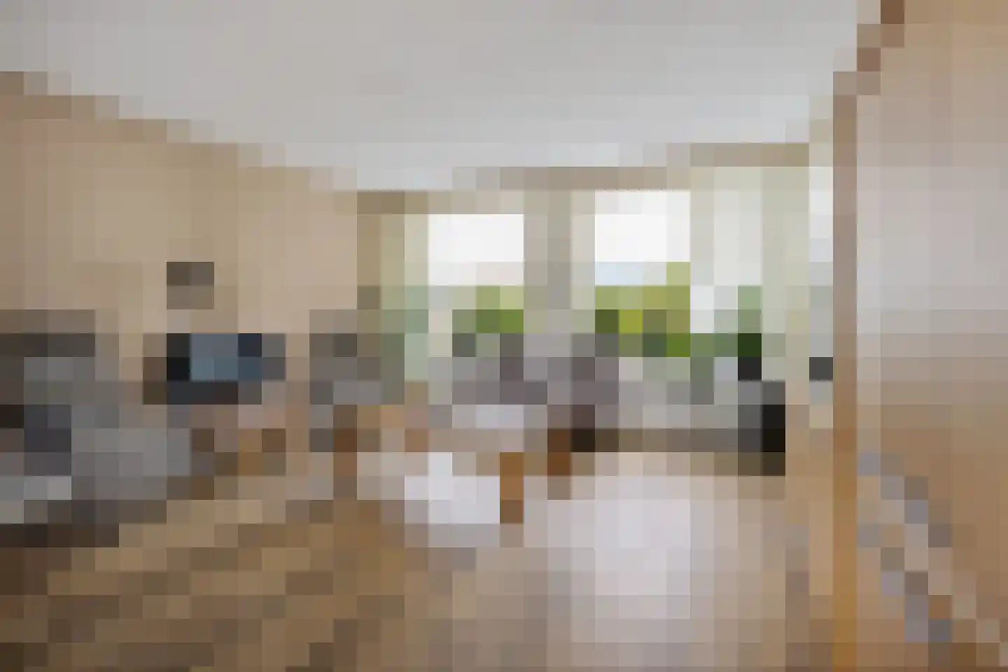 Julianastraat 5 Avenhorn thumbnail 5