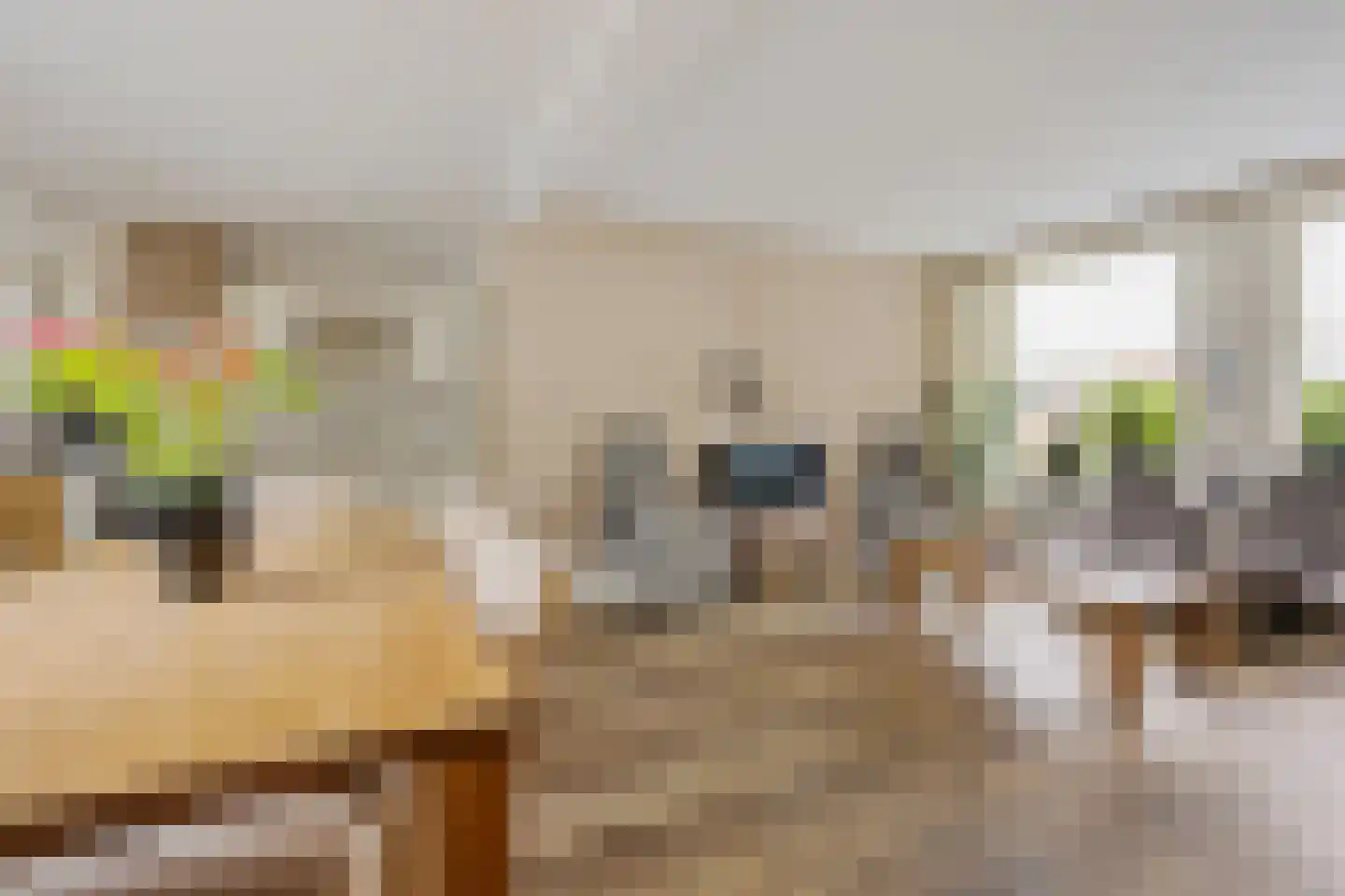 Julianastraat 5 Avenhorn thumbnail 6