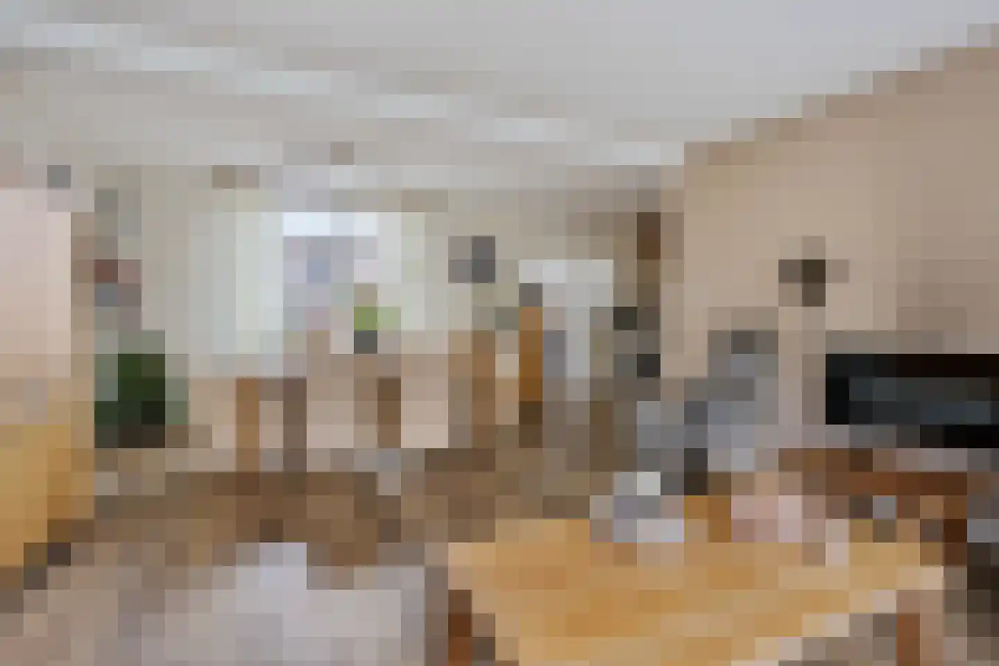 Julianastraat 5 Avenhorn thumbnail 8