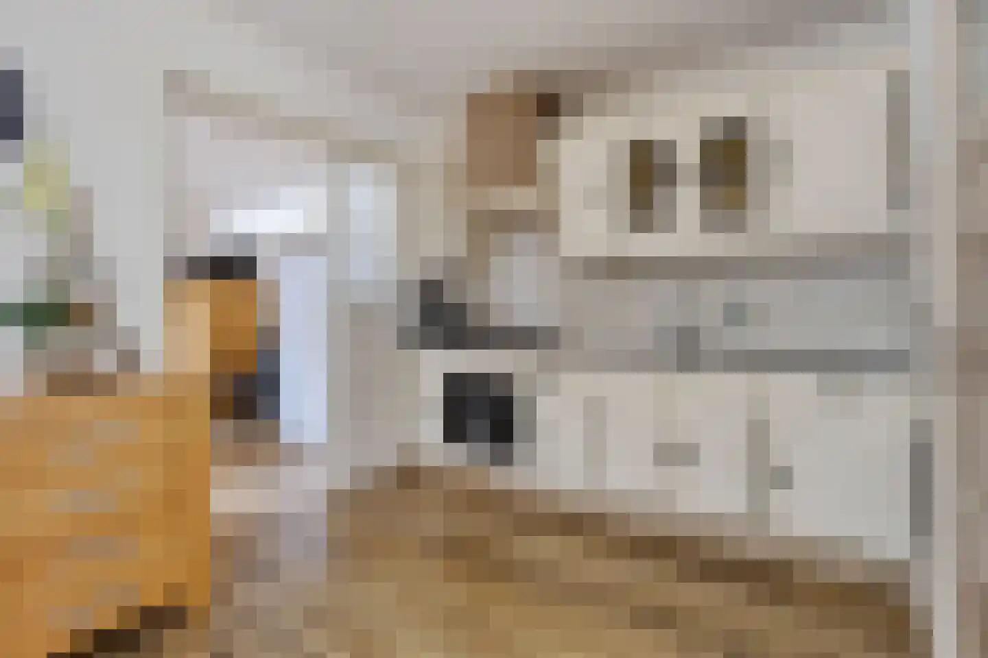 Julianastraat 5 Avenhorn thumbnail 9