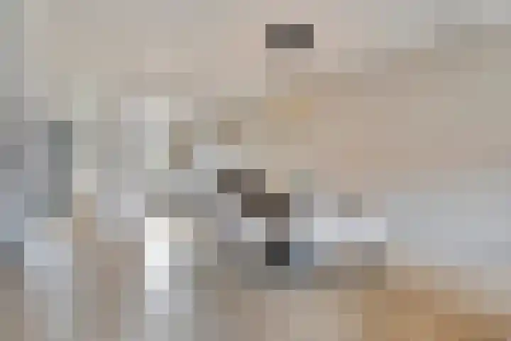 Julianastraat 5 B Wateringen thumbnail 11