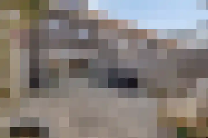 Julianastraat 5 B Wateringen thumbnail 16