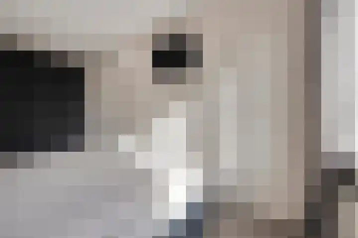 Julianastraat 5 B Wateringen thumbnail 31
