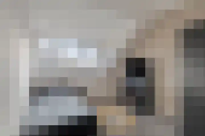 Julianastraat 5 B Wateringen thumbnail 39