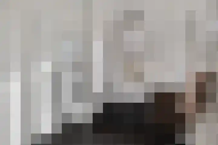 Julianastraat 5 B Wateringen thumbnail 4