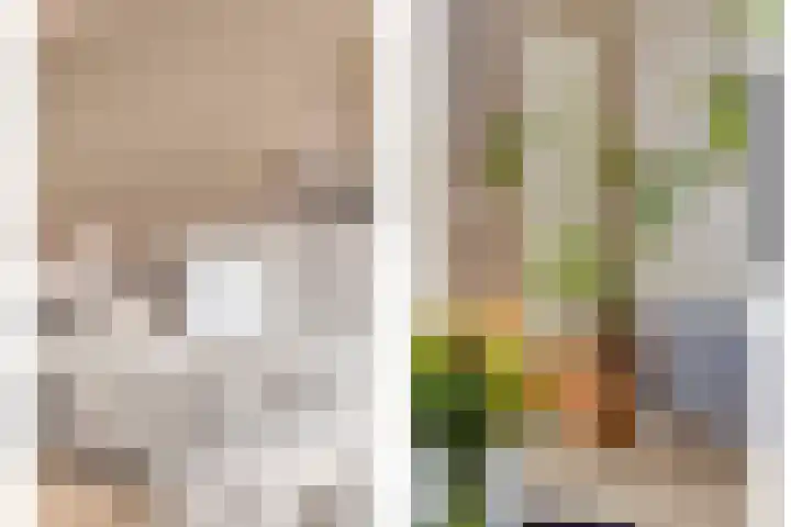 Julianastraat 5 B Wateringen thumbnail 8