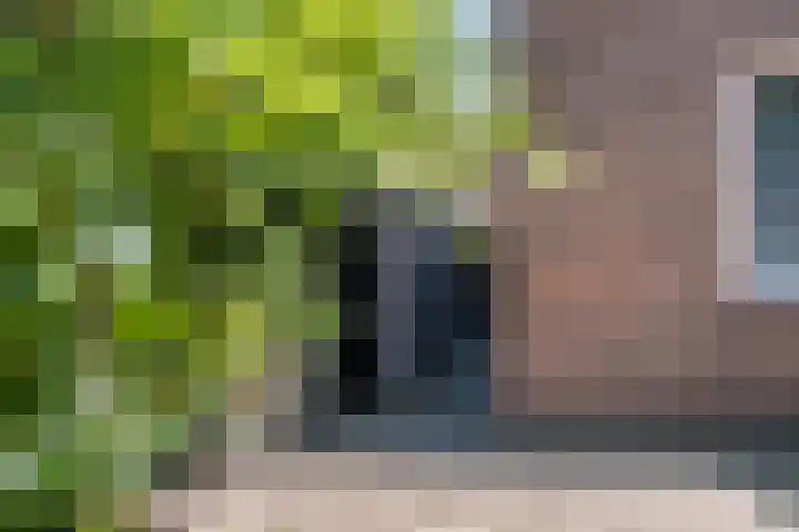 Julianastraat 5 D Poeldijk thumbnail 20