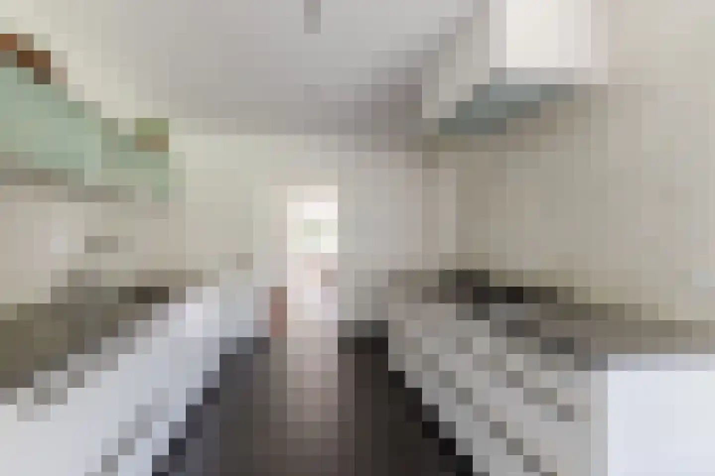 Julianastraat 5 Diessen thumbnail 13