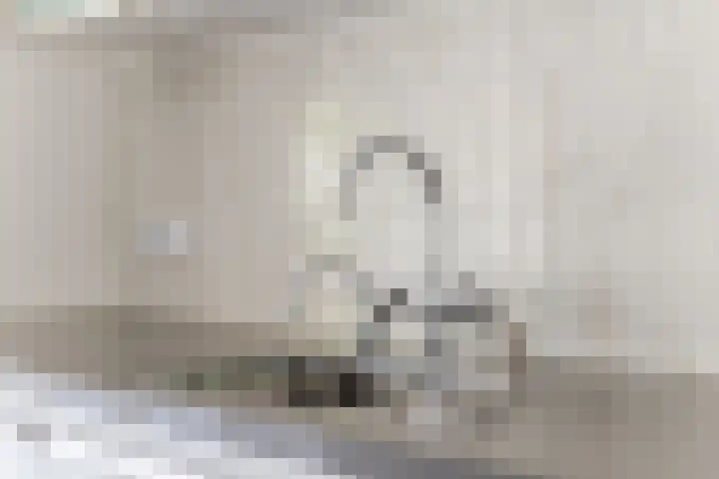 Julianastraat 5 Diessen thumbnail 14