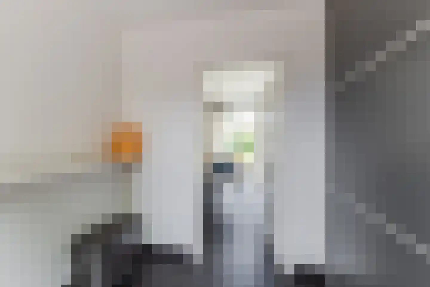 Julianastraat 5 Diessen thumbnail 19
