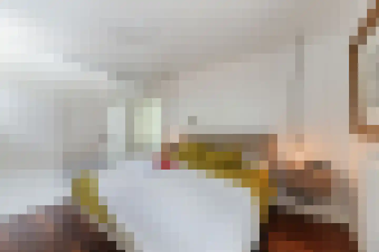 Julianastraat 5 Diessen thumbnail 20