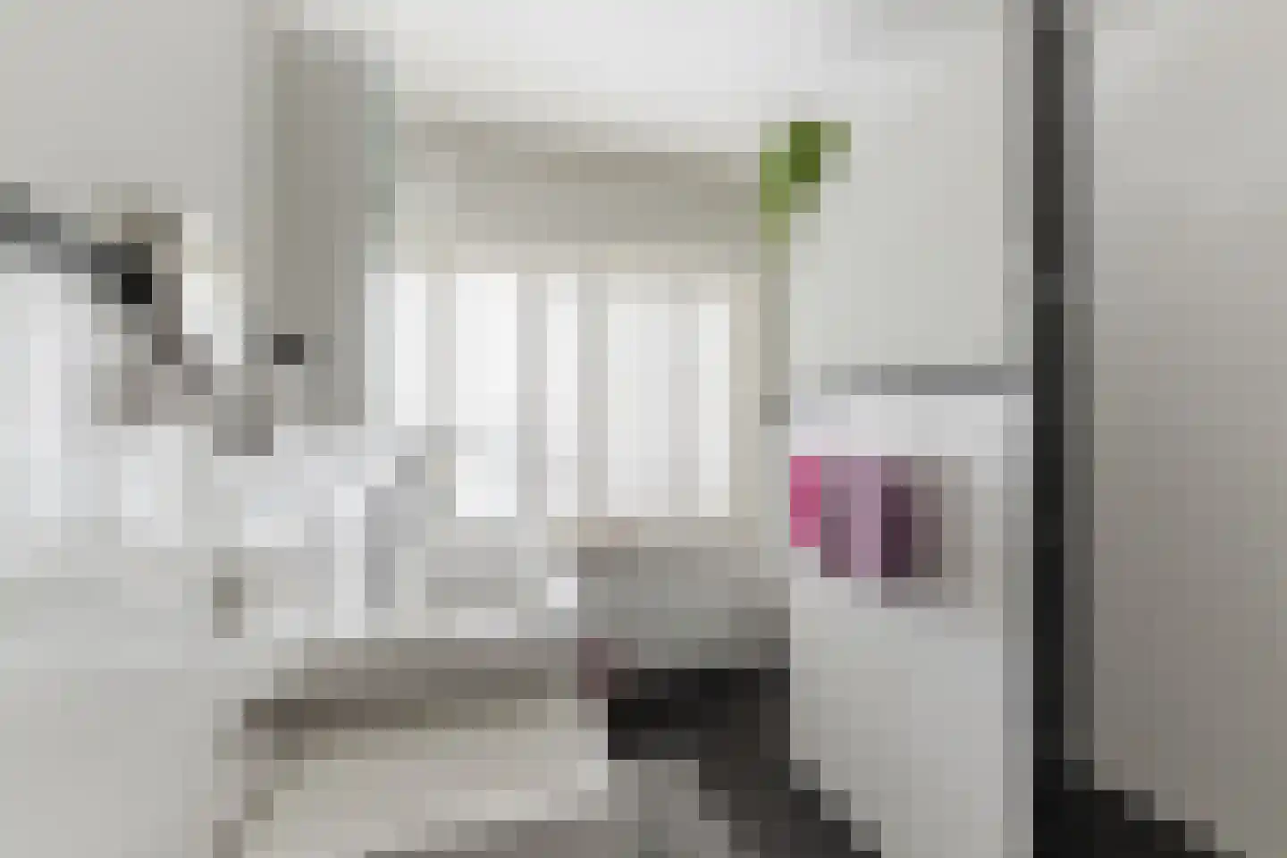 Julianastraat 5 Diessen thumbnail 21