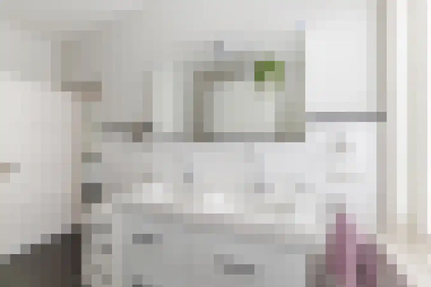 Julianastraat 5 Diessen thumbnail 22