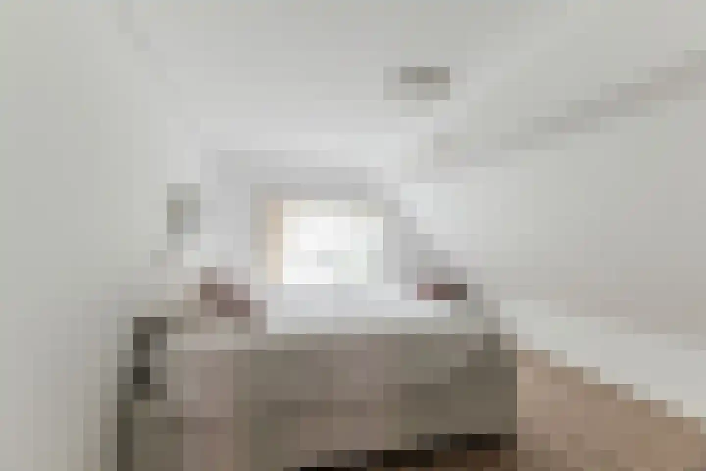 Julianastraat 5 Diessen thumbnail 27