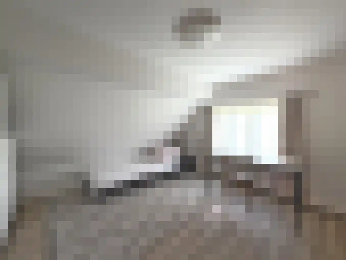 Julianastraat 5 Diessen thumbnail 28