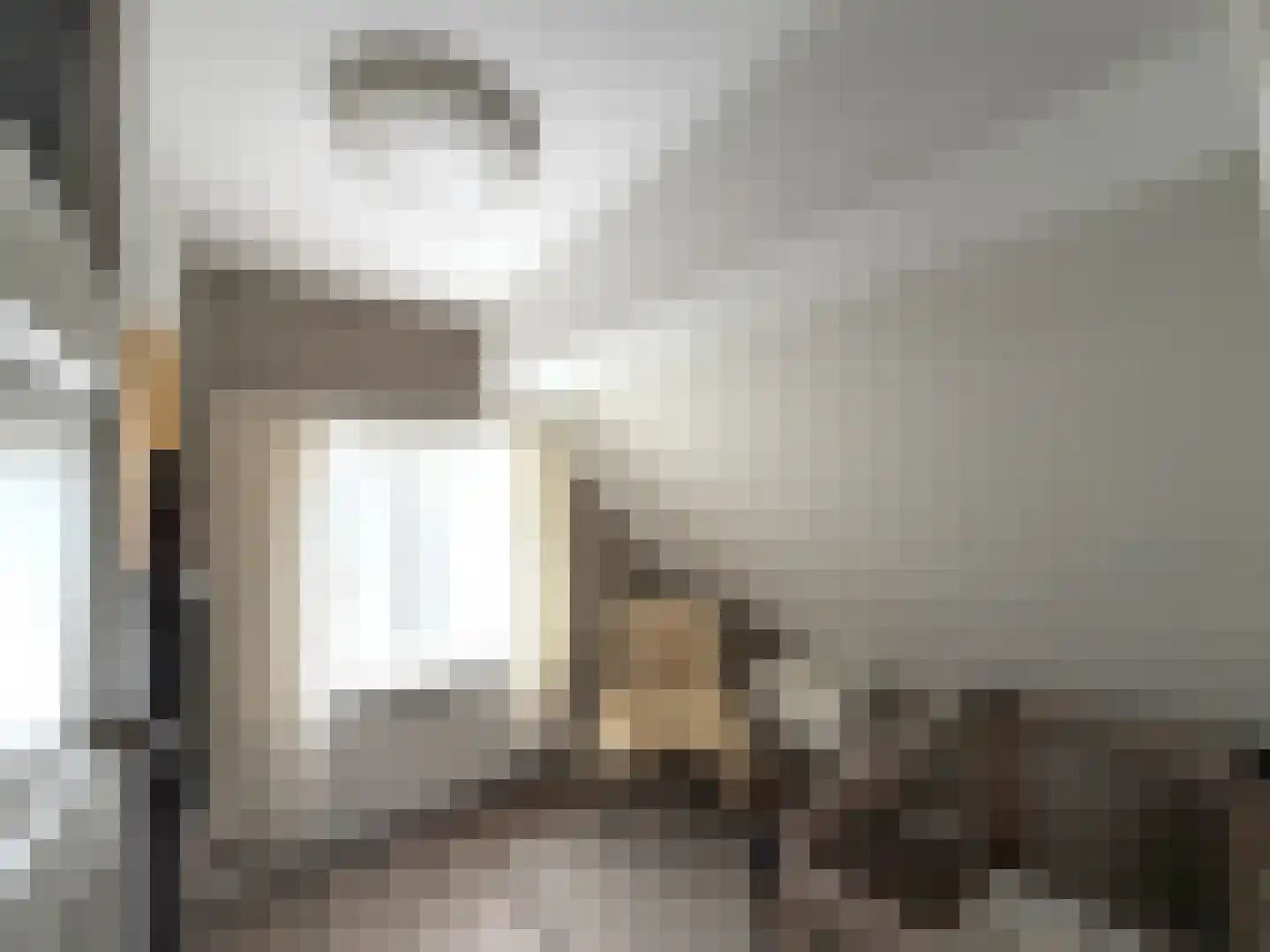 Julianastraat 5 Diessen thumbnail 29