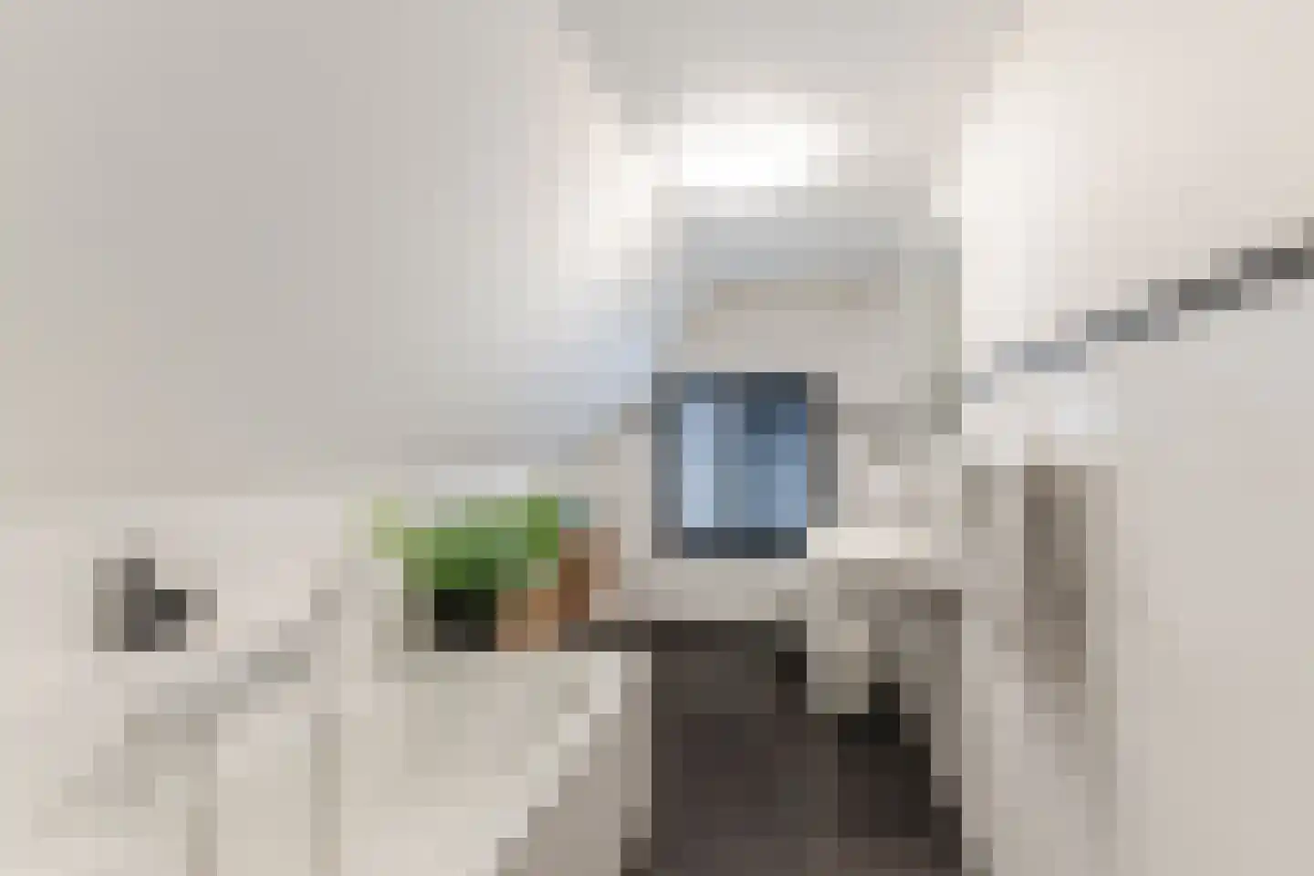 Julianastraat 5 Diessen thumbnail 30
